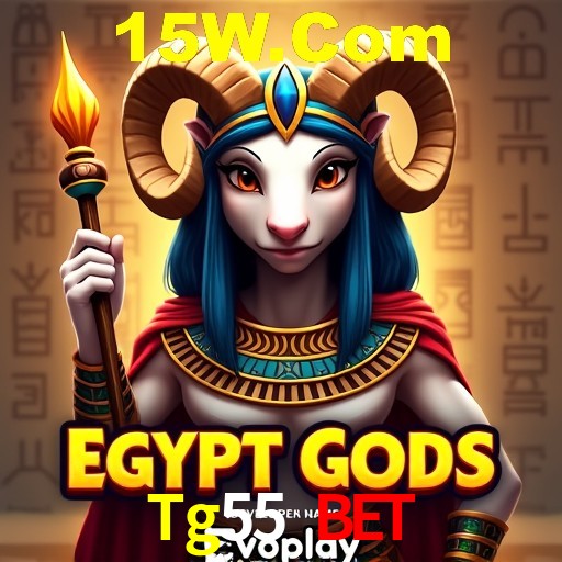 Experiência VIP Tg55 Bet