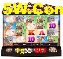 Tg55 Bet,Tg55.Com
