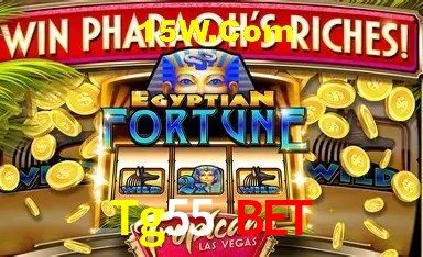 Tecnologia da Plataforma Tg55 Bet